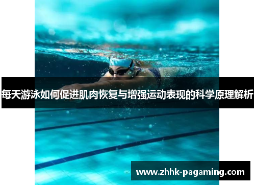 每天游泳如何促进肌肉恢复与增强运动表现的科学原理解析