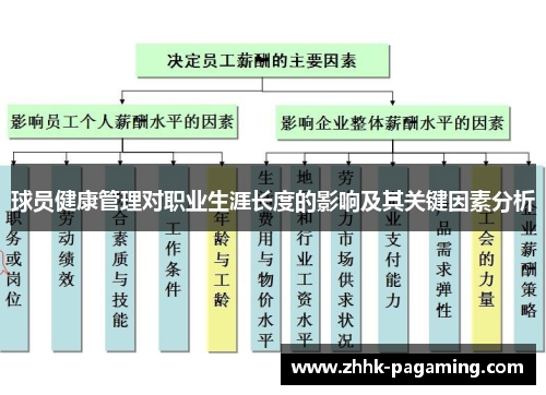 球员健康管理对职业生涯长度的影响及其关键因素分析