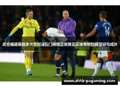 皮克福德英超多次零封背后门神稳定发挥见证埃弗顿防线坚韧与成长