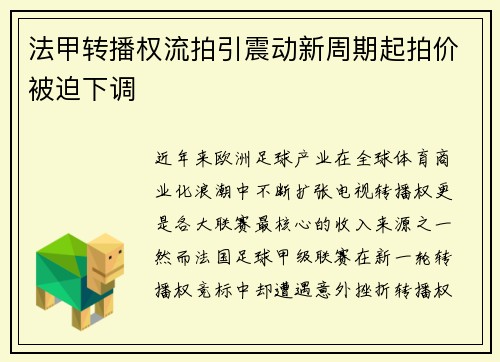 法甲转播权流拍引震动新周期起拍价被迫下调 法甲转播权流拍引震动新周期起拍价被迫下调